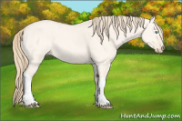 Horse Color:Perlino Roan Dun 