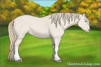 Horse Color:Smoky Creme Dun 