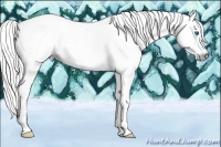 Horse Color:Gray Chestnut Splash Frame 