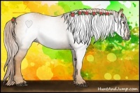 Horse Color:Gray Palomino 