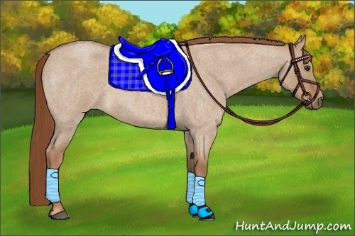 Horse Color:Red Dun Roan