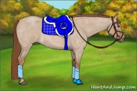 Horse Color:Red Dun Roan 