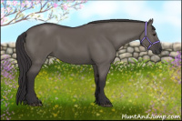 Horse Color:Smoky Grullo 