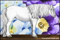 Horse Color:Gray Silver Amber Cream Champagne Roan Dun Splash Tobiano Frame Blanket Rabicano 