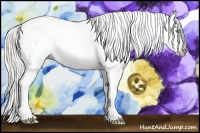 Horse Color:Gray Silver Amber Cream Champagne Roan Dun Splash Tobiano Frame Appaloosa Rabicano 