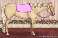 Horse Color:Palomino Roan 