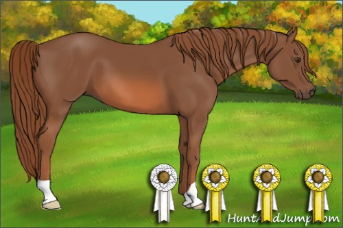 Horse Color: Liver Chestnut 