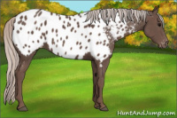 Horse Color:Silver Brown Near Leopard 