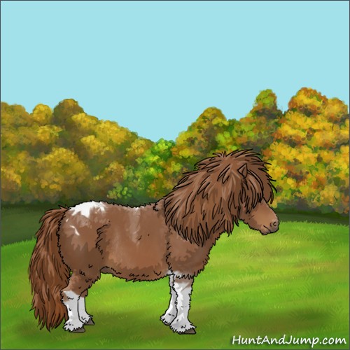 Horse Color:Chestnut Tobiano Rabicano 