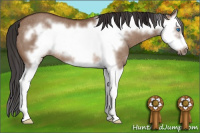 Horse Color:Bay Dun Sabino Splash Frame Rabicano