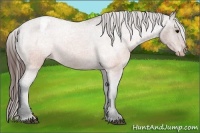 Horse Color:Brown Roan Snowcap 