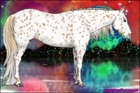 Horse Color:Red Roan Leopard 