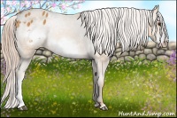 Horse Color:Palomino Frame Blanket 