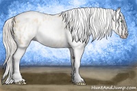 Horse Color:Gray Silver Amber Cream Champagne Roan Dun Splash Tobiano Frame Appaloosa Rabicano 