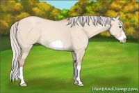 Horse Color:Silver Classic Champagne Dun Splash Frame 