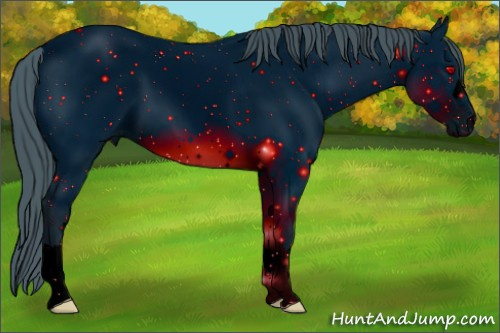 Horse Color: ERROR: UNKNOWN ANOMALY