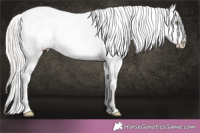 Horse Color:Silver Amber Champagne Roan Dun Splash Tobiano Frame Blanket Rabicano 