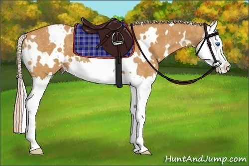Horse Color: White Spotted Palomino Splash  Brindle