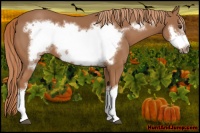 Horse Color:Chestnut Frame 