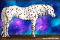 Horse Color:Chestnut Frame Near Leopard 