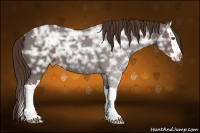 Horse Color:Liver Red Ice Roan Sabino Splash Rabicano 