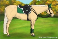 Horse Color:Palomino 