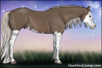 Horse Color:Silver Black Splash 
