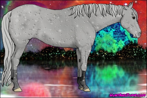 Horse Color: ERROR: UNKNOWN ANOMALY