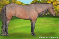 Horse Color:Brown Varnish 