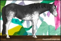 Horse Color:White Spotted Liver Chestnut 