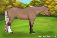 Horse Color:Silver Bay Dun 