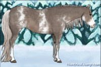 Horse Color:White Spotted Silver Black Sabino 