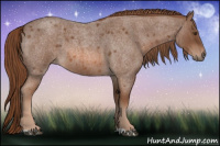 Horse Color:Liver Red Roan 