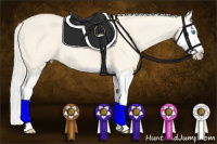 Horse Color:Cremello Dun Sabino Splash 