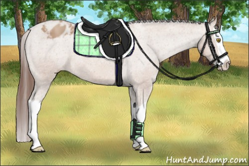 Horse Color: Unknown 