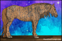 Horse Color:Brown Rabicano Brindle