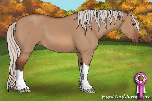 Horse Color: Silver Bay Dun 