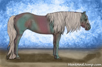 Horse Color:Silver Black 