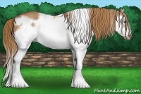 Horse Color:Chestnut Splash Frame 
