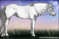 Horse Color:White Spotted Black Splash Tobiano Frame Blanket 
