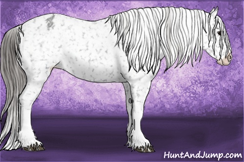 Horse Color: Blue Roan Splash Blanket 