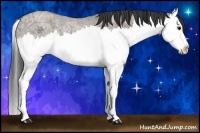 Horse Color:Grullo Ice Roan Splash Rabicano 