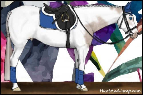 Horse Color: Bay Dun Splash Tobiano Frame Blanket 