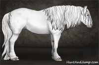 Horse Color:Gray Silver Amber Cream Champagne Roan Dun Splash Tobiano Frame Near Leopard Rabicano 