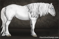 Horse Color:Gray Silver Amber Cream Champagne Roan Dun Splash Tobiano Frame Appaloosa Rabicano 