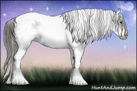 Horse Color:White Spotted Black Splash Tobiano Frame Varnish