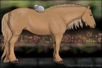 Horse Color:Chestnut Rabicano 