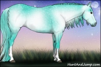 Horse Color:Gray Watercolor White Spotted Black 
