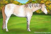 Horse Color:White Spotted Buckskin Pearl 
