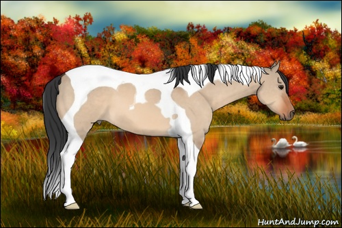 Horse Color: Bay Dun Tobiano 